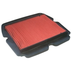 Filtro de Aire Hiflofiltro HFA1921