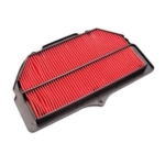 Filtro de Aire Hiflofiltro HFA3910